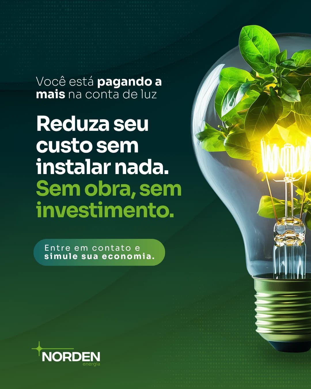 Criativo Norden Energia sobre redução de custo na conta de luz.